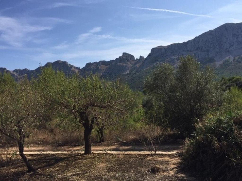 Alcalalí One Bed Apartment Overlooking Jalon Valley, Costa Blanca מראה חיצוני תמונה