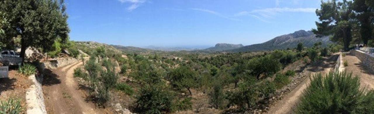Alcalalí One Bed Apartment Overlooking Jalon Valley, Costa Blanca מראה חיצוני תמונה