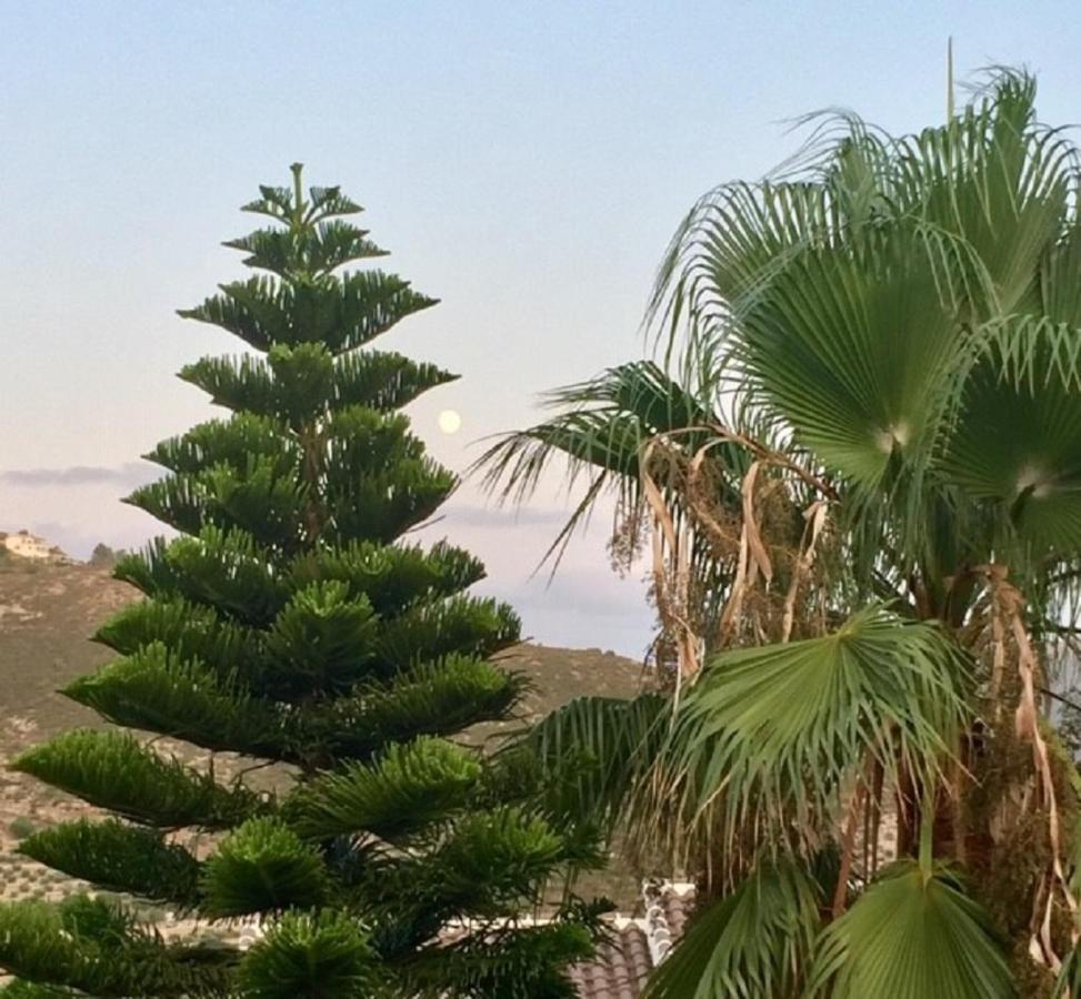 Alcalalí One Bed Apartment Overlooking Jalon Valley, Costa Blanca מראה חיצוני תמונה
